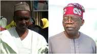 What Tinubu told me after I resigned as DG of APC governors' forum - Salihu Lukman opens up