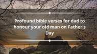 25+ profound bible verses for dad to honour your old man on father's day