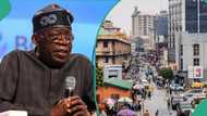 Top 10 fastest growing sectors under President Tinubu in 2024