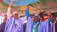 APC Suddenly Cancels Tinubu's Presidential Campaign Rally in Kano, Gives No Reason, Nigerians React