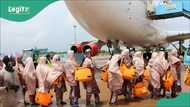 Breaking: Saudi Arabia rejects 2,717 Nigerian hajj pilgrims, reason emerges