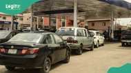 Nigerians rush to buy CNG fuel priced at N200, NNPC releases filling stations locations