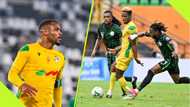 Benin captain names one 'special' thing the Cheetahs will do to defeat the Super Eagles