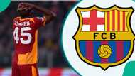 Victor Osimhen transfer twist as Barcelona submit €100m bid for new striker