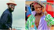 Netizens speculate Portable could react as Timaya uses Zazu's popular slang