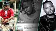 "He saw it coming": Fans react to Oladips' death as title of his latest song "Die Young" Goes Viral