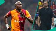Galatasaray coach reacts after Victor Osimhen scores two goals against Bodo/Glimt