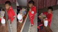 This is lovely: Many react to video of adorable 2-year-old boy making mum breakfast at 3am
