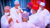 National convention: APC governors to meet as zoning formula causes ripples