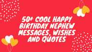 50+ cool happy birthday nephew messages, wishes and quotes