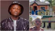"Which nursery school be this?" Portable flaunts his bungalow, dogs, ahead of Sallah celebration, shares video