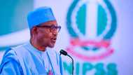 Presidency reveals why Buhari was de-marketed as a religious bigot