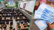 Nigerian stock market reacts as CBN announces new interest rate