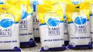 Lagos State building rice mill to produce it's own Lake Rice