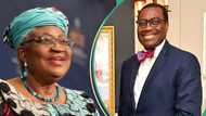 Okonjo-Iweala: List of Nigerians holding top positions in global institutions