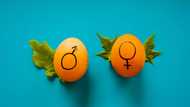 Male and female signs: Top facts about their origin, uses, and meaning