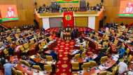 Video goes viral as lawmakers in African country engage in free for all fight