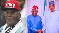 May 29: Atiku's camp reveals how Tinubu will fight Buhari after inauguration