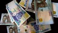 Confusion as Banks Tell Supermarkets to Reject Old Notes, Traders Sell Them Ahead of Supreme Court Judgement