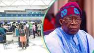 Tinubu gets UAE to lift travel ban imposed on Nigerian travellers in landmark deal