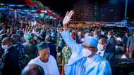 2023: Buhari’s indecision caused confusion in APC, Party sources reveal
