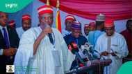 Breaking: Kwankwaso announce fresh position on subsidy return