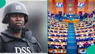 Breaking: DSS rejects international funding for Nigeria's security woes, gives reasons