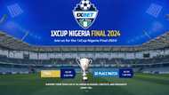 1xBet Cup Nigeria 2024: The grand final is coming!