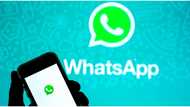 WhatsApp users face restriction as messaging app releases update