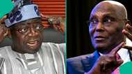 Breaking: Tinubu directly replies Atiku over 'bringing back subsidy', knocks Aregbesola, "you're ignorant"