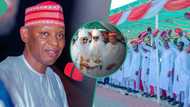 Jubilation as Kano govt sponsors over 1,000 postgraduates on foreign scholarship