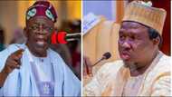 Zaben 2023: Abokin takarar Tinubu na wucin gadi zai iya jefa shi cakwalkwali, hasashen masana a INEC