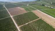 France jails three in champagne 'slaves' case