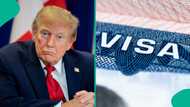 US publishes list of 5 categories of foreigners exempt from partial visa restrictions