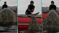 "Wonderful": Lucky fisherman catches big fish called halibut, unable to drag it into fishing boat
