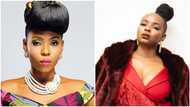 I was once offered 20 cows for my hand in marriage - Yemi Alade says what happens next