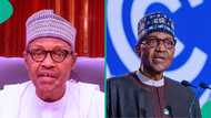Buhari's death: Alleged clip of his last day in Daura emerges, fans shares observations, sparks talk