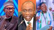 Naira redesign: PDP Youth Council accuses APC governors of trying to arm-twist Buhari, Emefiele