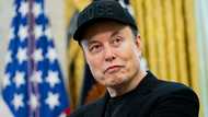 Musk joins 'cancel Netflix' campaign