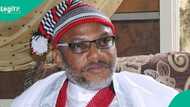 Court begins trial-within-trial over Kanu’s alleged forced confession