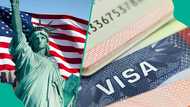 List of 7 social media posts that could ruin US visa application