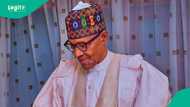 Buhari's death: 7 states declare public holiday date, full list emerges