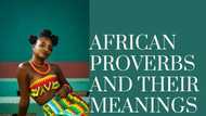 Top 50 African proverbs and meanings that you should know