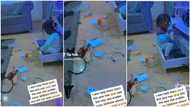 "I don born this one na": Mum shares video of mess daughter created inside parlour, parents react