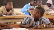 You need to know this about educational agencies in Nigeria and their functions