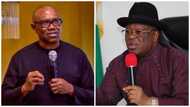 Surprise as top APC governor takes action in Peter Obi, Labour Party's favour