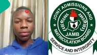 UTME 2026: ChatGPT accurately guesses young boy's JAMB score, leaves him amazed