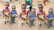 "Amazing kids": 2 boys posing with guitar go viral as they demonstrate to sound of sweet music, video emerges