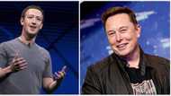 Musk’s bold move to charge Twitter users for verification grabs Zuckerberg's attention, others may follow