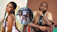 Davido vs Sophia Momodu: Romantic old days between ex-lovers resurface online, "U make me happy"